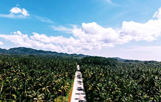 Penyewaan Drone Banten
