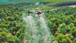 sewa-drone-jawa-timur-profesional-output-teknis